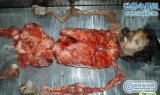 盘点中国十大悬案真实案件,至今未破的中国十大悬案