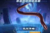 王者荣耀是有多火？小学生日记写王者荣耀！