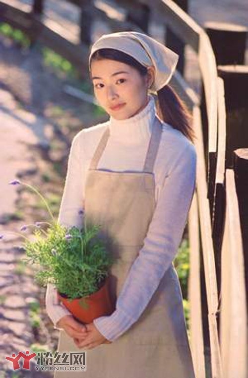 陈怡蓉演过的主演的最新电视剧 陈怡蓉好看的电视剧