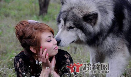 男不养猫女不养狗是什么意思 猫咬鸡鸡,狗乱性