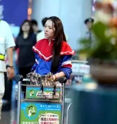 郭碧婷素颜长这样 郭碧婷怎么没消息了