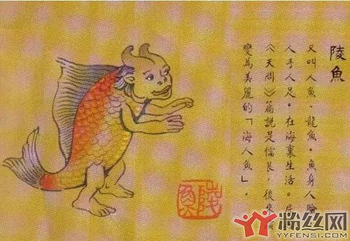 世界上真的有鲛人吗 山海经关于鲛人的记载