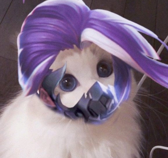 王者荣耀兰陵王猫咪头像