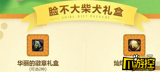 DNF五一脸不大柴犬礼盒值得入手吗