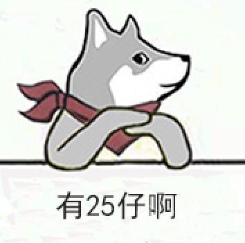 DNF25仔是什么意思 25仔是什么梗