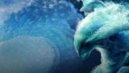 DOTA2更新：修复水人变形使游戏崩溃问题