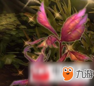 《魔兽世界8.0》锚草采集点在哪 锚草采集点具体位置分享