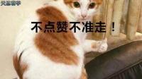 梦幻西游：这把武器号称100级最强专用，网友看后纷纷直呼太强！