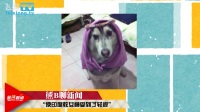 印度教要求暴雪移除 守望先锋阿三妹提毗皮肤【最熊新闻】