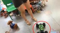梦幻西游: 老王逛商城130块的东西强行给200块, 把妹子卖家整懵了
