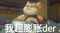 【守望先锋】新英雄仓鼠球的激萌语音~贼萌! !