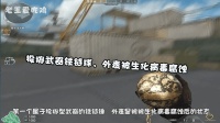 穿越火线: 爆头率低颜值高的武器猫枪你喜欢吗? 外表Q萌的玉兔剑你有吗?