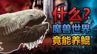 【忍者】什么？魔兽世界里竟然能养鲲！#魔兽世界#