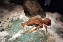 奥茨诅咒未解之谜 接触木乃伊者相继死亡