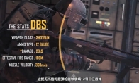 《绝地求生》双管泵动式DBS属性