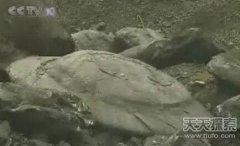 煤矿挖出UFO化石 外星人贯穿于人类文明进程中 曾造访中国