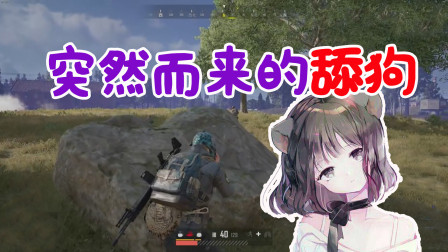 绝地求生仙某某：突然而来的舔狗？小姐姐人都懵了！