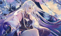 《阴阳师》泷夜叉姬斗技阵容打法一览