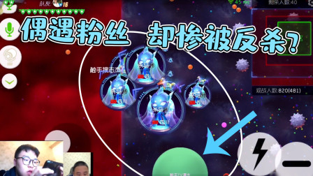 球球大作战杀马特：大逃杀偶遇粉丝，本以为能翻盘结果手滑了！
