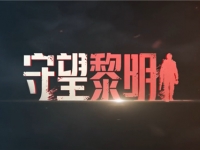 守望黎明斗士有什么用