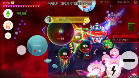 球球大作战，游戏遇到超可爱的猫咪皮肤，当然选择一口吃掉它啦