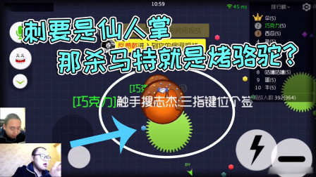 球球大作战杀马特：刺变成仙人掌，那杀马特成烤骆驼？
