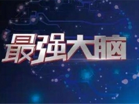 最强的大脑193关该怎么过