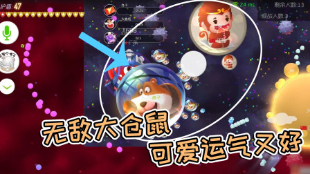 球球大作战疯子：无敌大仓鼠，可爱又运气好