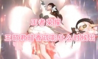 《王者荣耀》王昭君星元皮肤【暗香疏影】上线时间