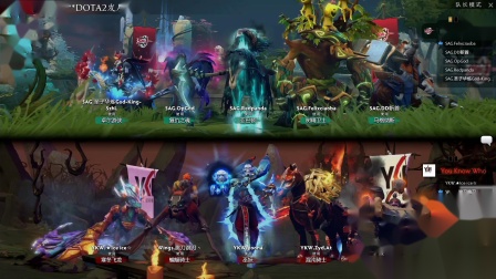 LGD vs IG.V DOTA2职业联赛S1 BO3 第二场 1.1