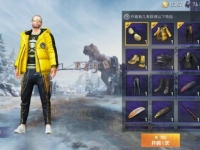 和平精英酷潮明星需要花多少金币获得
