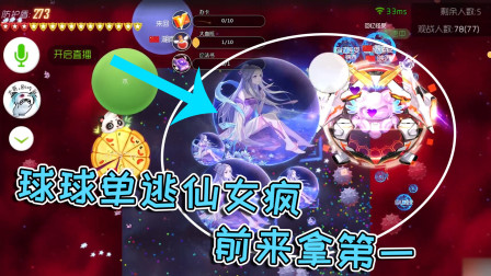 球球大作战疯子：球球单逃仙女疯，前来拿第一