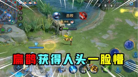 王者荣耀：天空中飘来获得击杀播报，扁鹊表示一脸懵圈