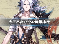 大王不高兴SSR英雄排行
