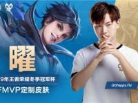 王者荣耀2019年冬冠杯fmvp皮肤是谁的