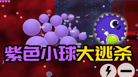 球球大作战：紫色小球大逃杀 钻石局简简单单第一名