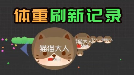 球球大作战：喵喵大人体重刷新记录 稳拿第一
