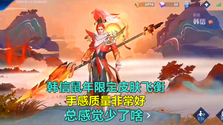 王者荣耀：体验韩信鼠年限定皮肤飞衡，手感质量非常好，但总感觉少了啥