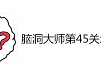 脑洞大师第45关怎么过