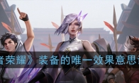 《王者荣耀》装备的唯一效果意思详解