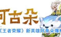 《王者荣耀》新英雄阿古朵爆料