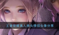 王者荣耀真人换头情侣头像分享
