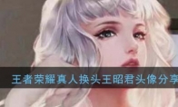 王者荣耀真人换头王昭君头像分享