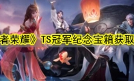 《王者荣耀》TS冠军纪念宝箱获取方法