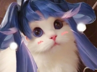 王者荣耀猫咪射手接头大全