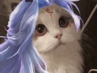 王者荣耀明世隐猫咪头像