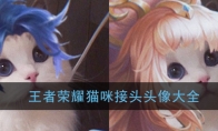 《王者荣耀》猫咪接头头像大全