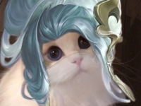 王者荣耀五岳猫咪头像
