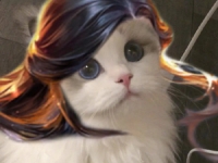 王者荣耀露娜猫咪接头头像