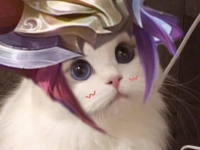 王者荣耀玄策猫咪头像
